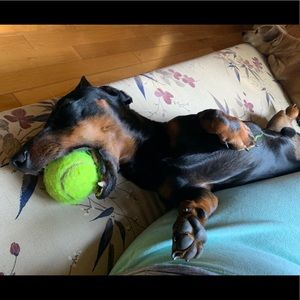 Meet your Posher, Sandra